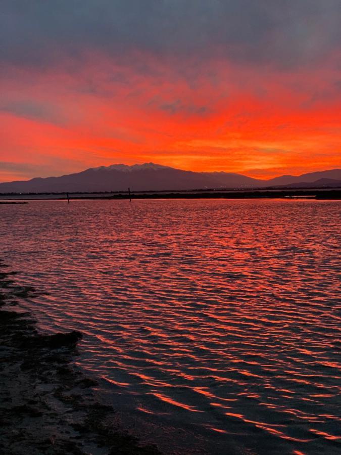 Mas Rose Des Vents Villa Le Barcarès Dış mekan fotoğraf