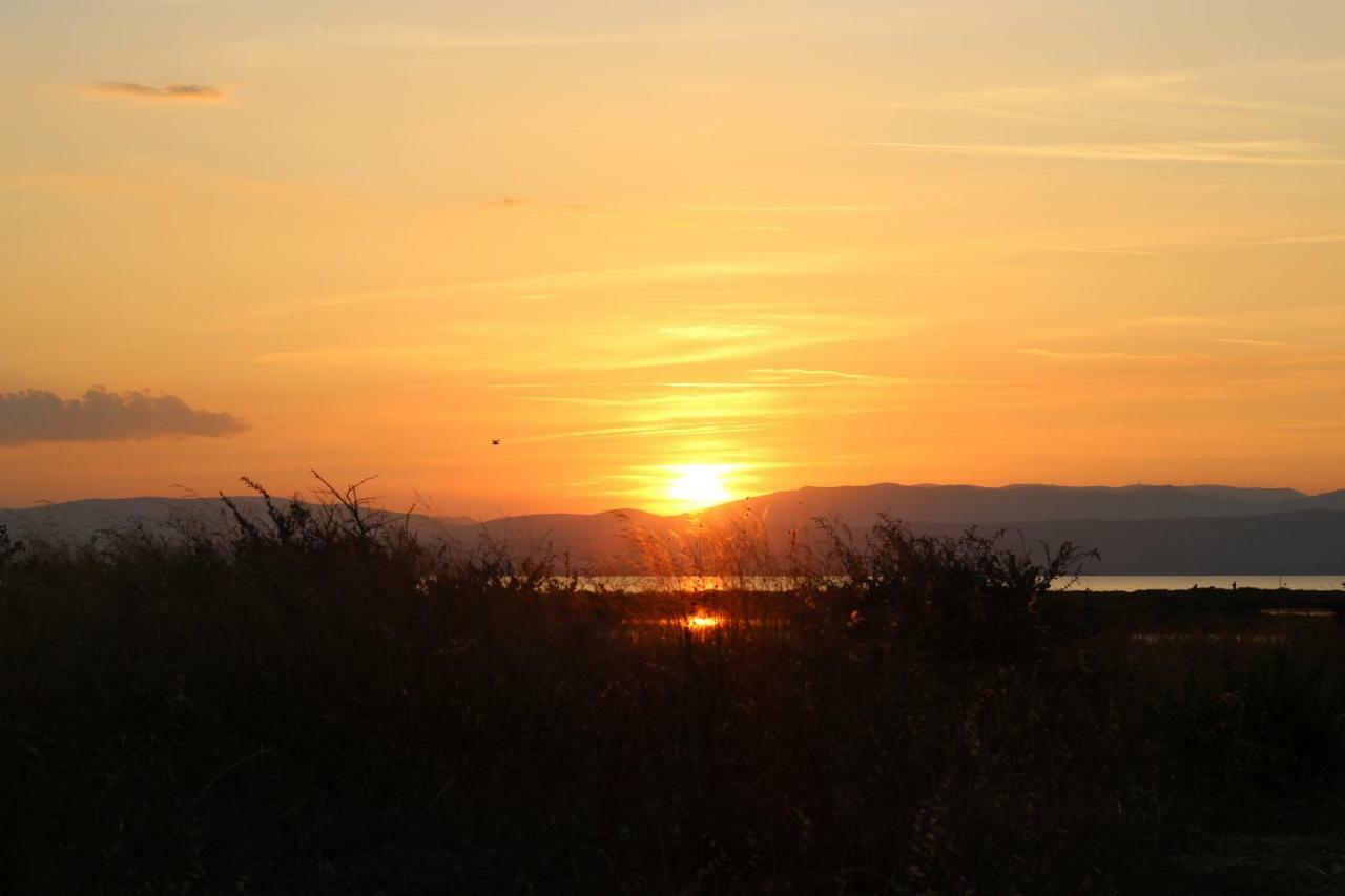 Mas Rose Des Vents Villa Le Barcarès Dış mekan fotoğraf